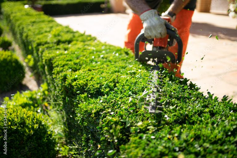 5 Tips for Choosing a Landscape Contractor