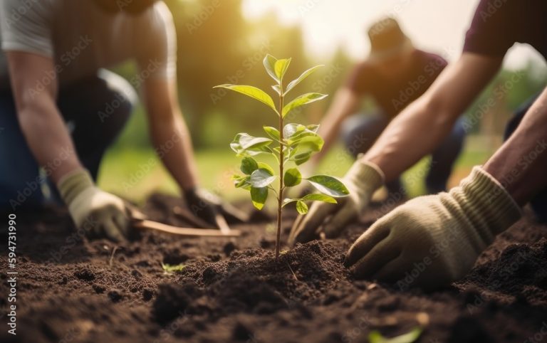 Deciding if you Need a Landscaping Contractor