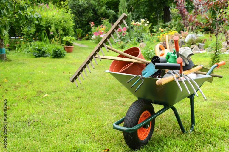 The Importance of Garden Maintenance